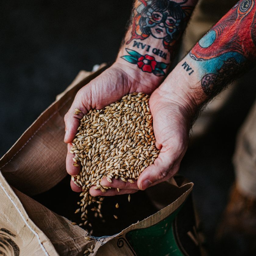 Meilleures bières artisanales des brasseurs français